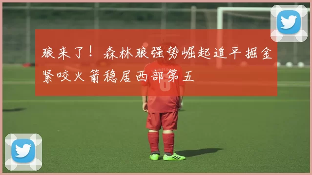 狼来了！森林狼强势崛起追平掘金紧咬火箭稳居西部第五